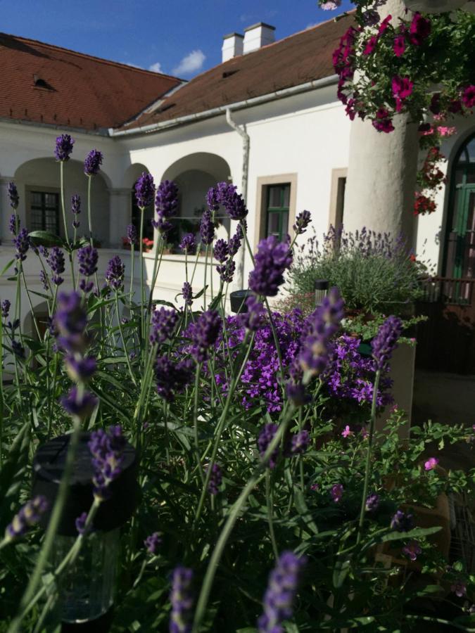 Forst-Haz Apartman Eğri Dış mekan fotoğraf