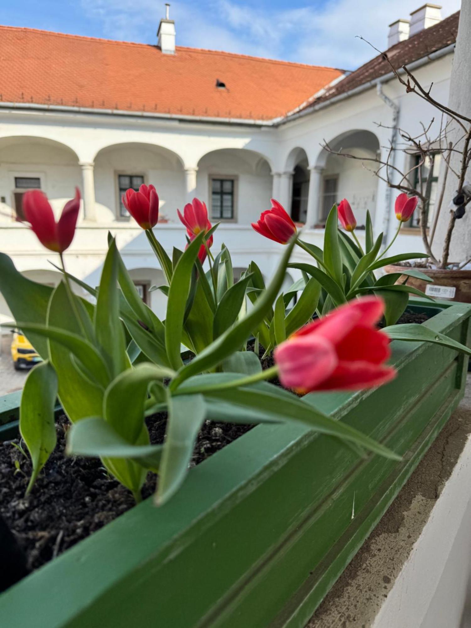 Forst-Haz Apartman Eğri Dış mekan fotoğraf